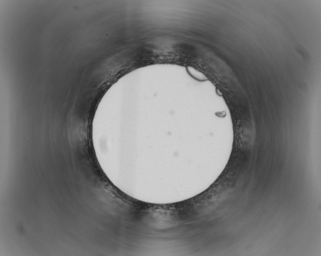 X0000111210756200908121132