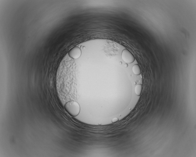 X0000111210758200908121132