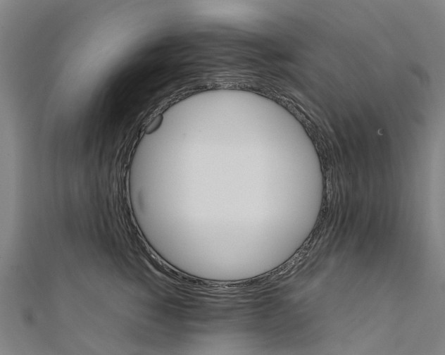 X0000111210760200908121132