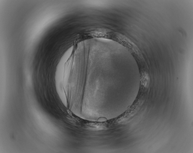 X0000111210763200908121132