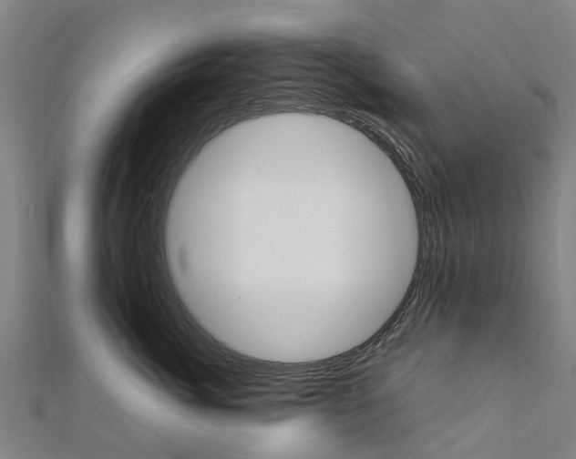 X0000111210764200908121132