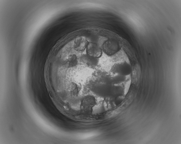 X0000111210765200908121132