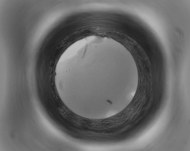 X0000111210766200908121132