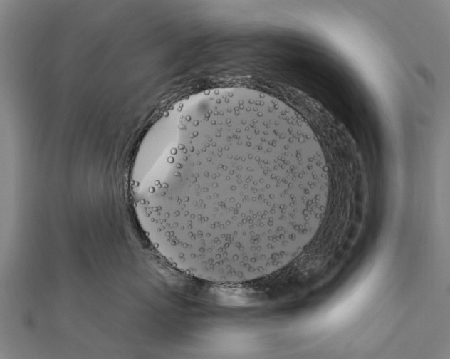 X0000111210767200908121132