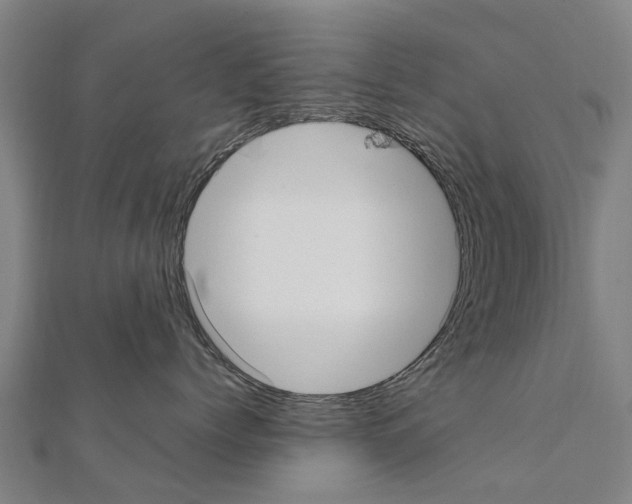 X0000111210768200908121132