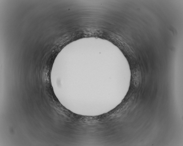 X0000111210770200908121131