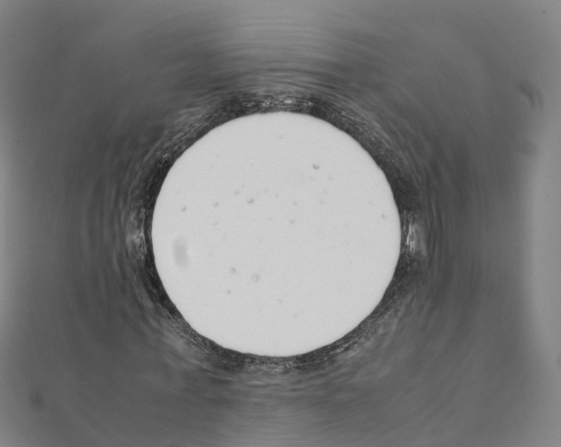 X0000111210771200908121131