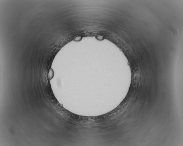 X0000111210772200908121131