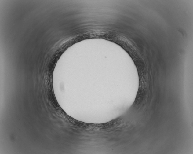 X0000111210773200908121131