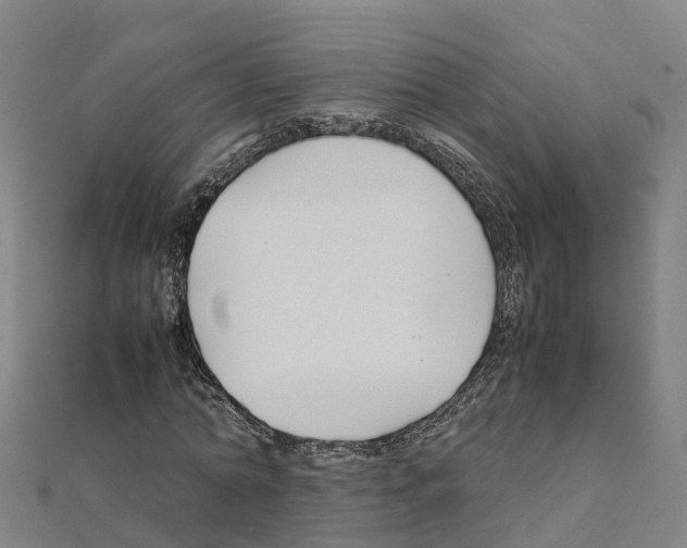 X0000111210774200908121131