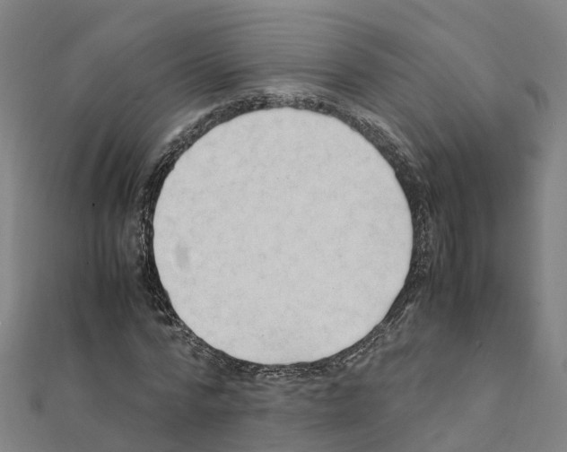 X0000111210776200908121131