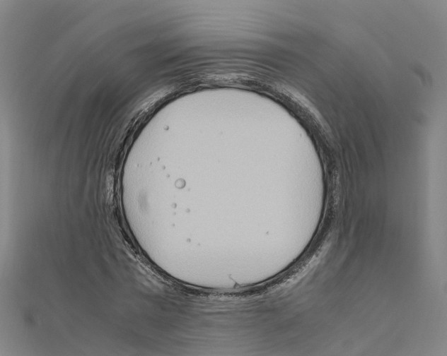 X0000111210777200908121131