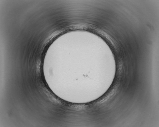 X0000111210778200908121131