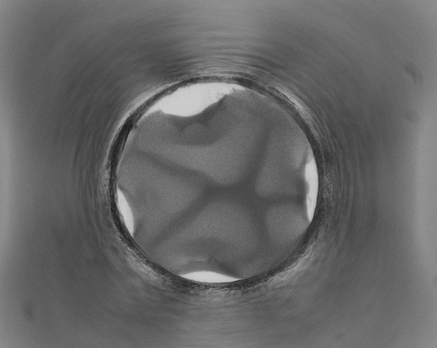 X0000111210779200908121131