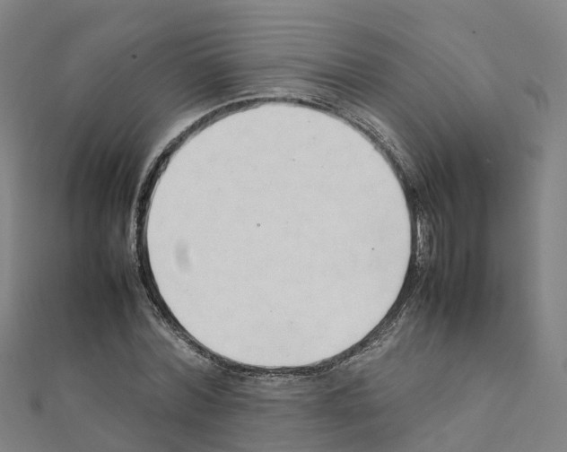 X0000111210780200908121131