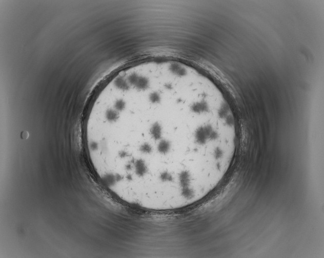 X0000111210782200908121131