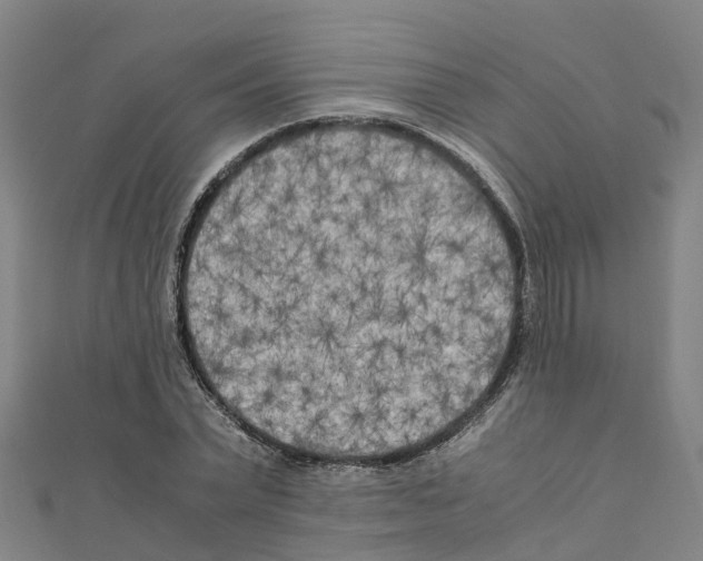 X0000111210783200908121131