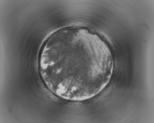 X0000111210784200908121131