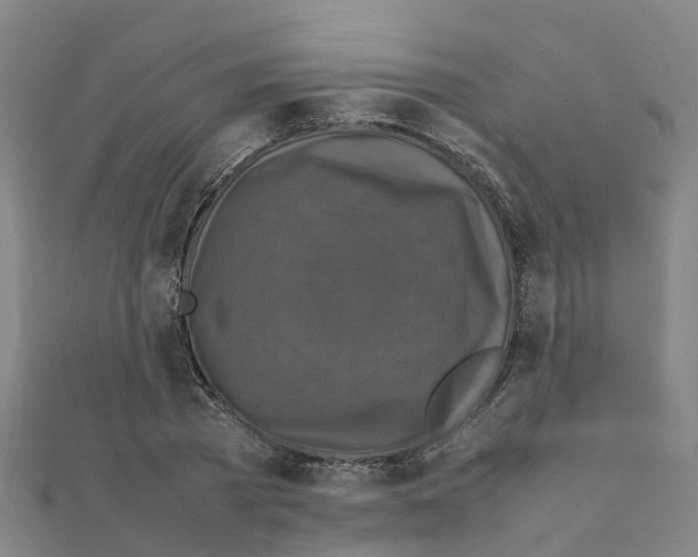 X0000111210785200908121131