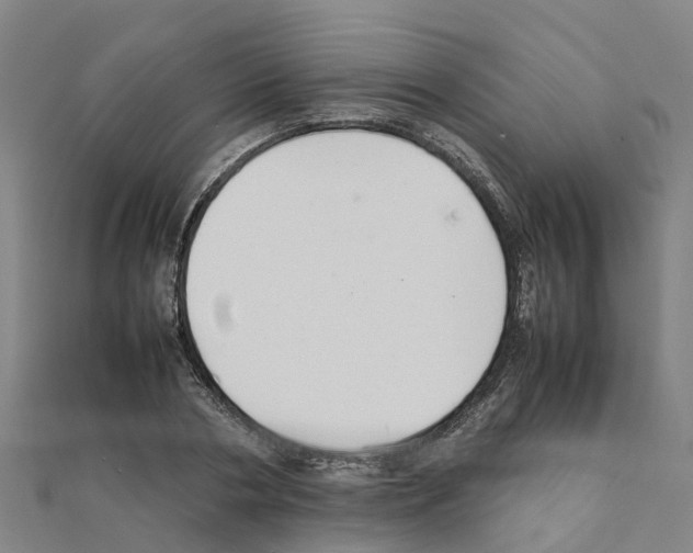 X0000111210786200908121131