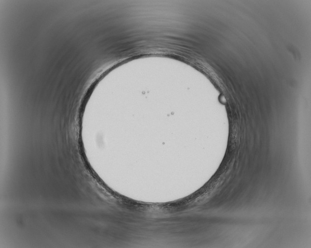 X0000111210787200908121131