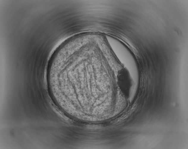 X0000111210788200908121131