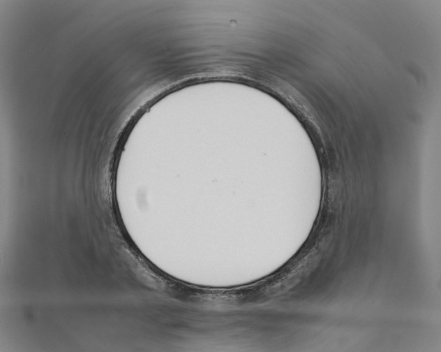 X0000111210789200908121131