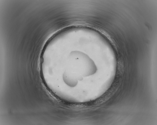 X0000111210791200908121131