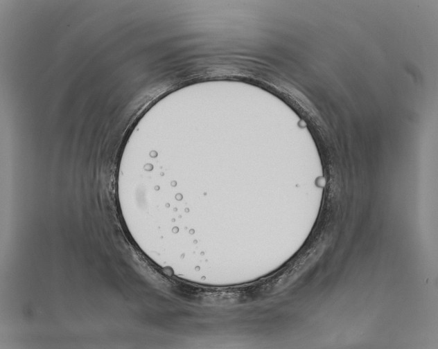 X0000111210793200908121131