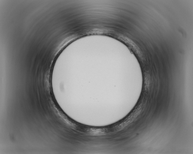 X0000111210794200908121131