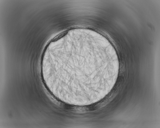 X0000111210795200908121131