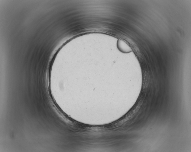 X0000111210796200908121131