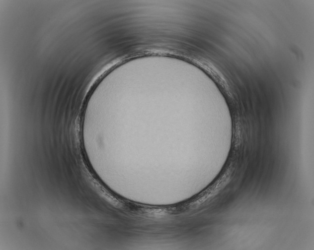 X0000111210798200908121131