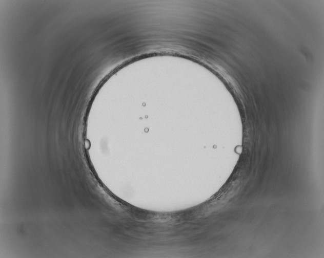 X0000111210799200908121131