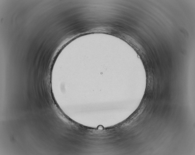 X0000111210800200908121131