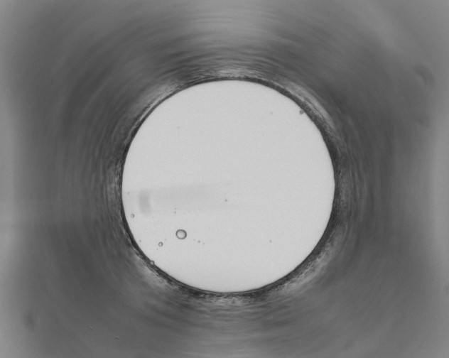 X0000111210801200908121131