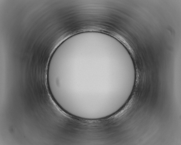 X0000111210802200908121131