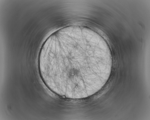 X0000111210803200908121131