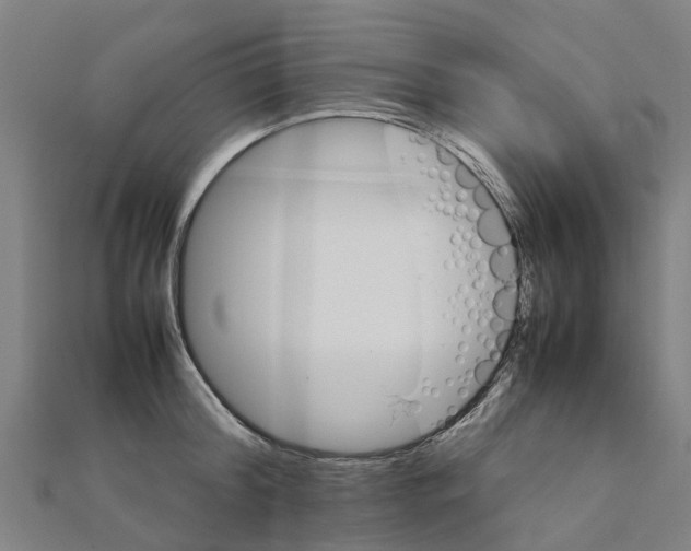 X0000111210804200908121131