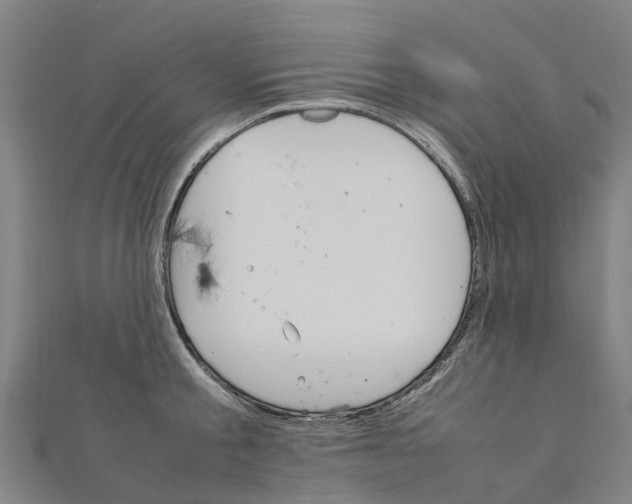 X0000111210805200908121131