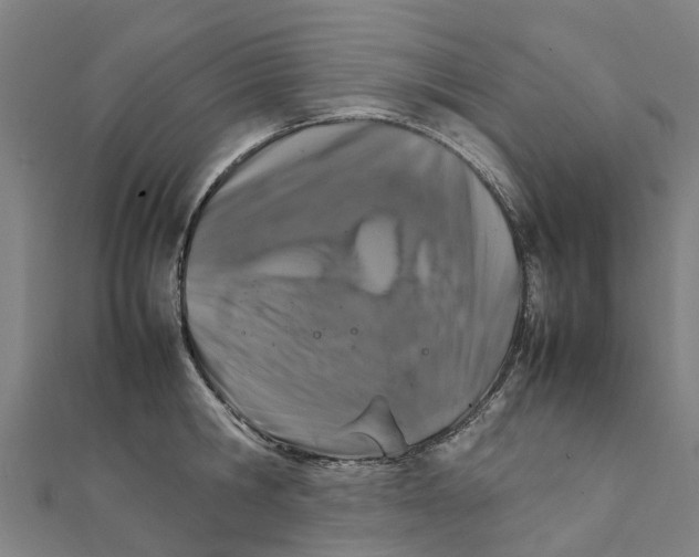 X0000111210806200908121131