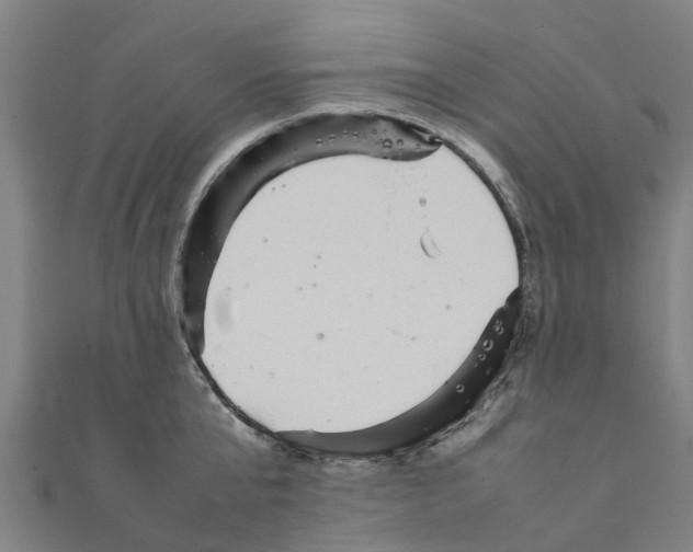 X0000111210807200908121131