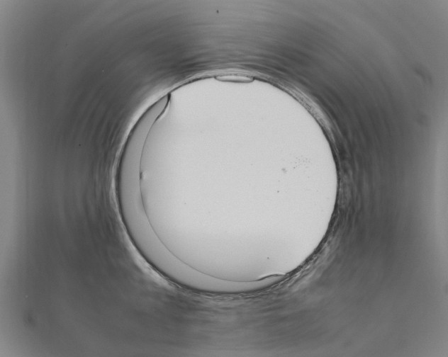 X0000111210813200908121131