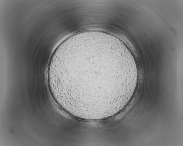 X0000111210814200908121131