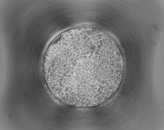 X0000111210816200908121131