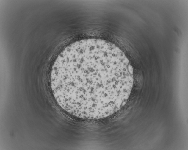 X0000111210817200908121130