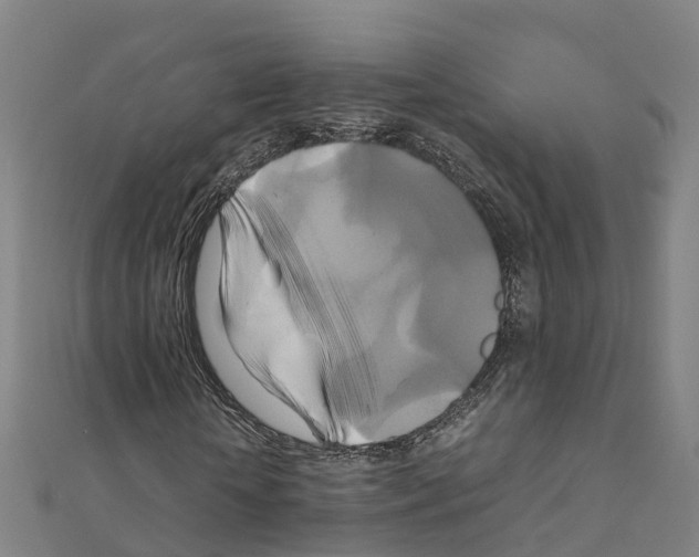 X0000111210818200908121130