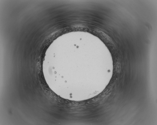 X0000111210821200908121130