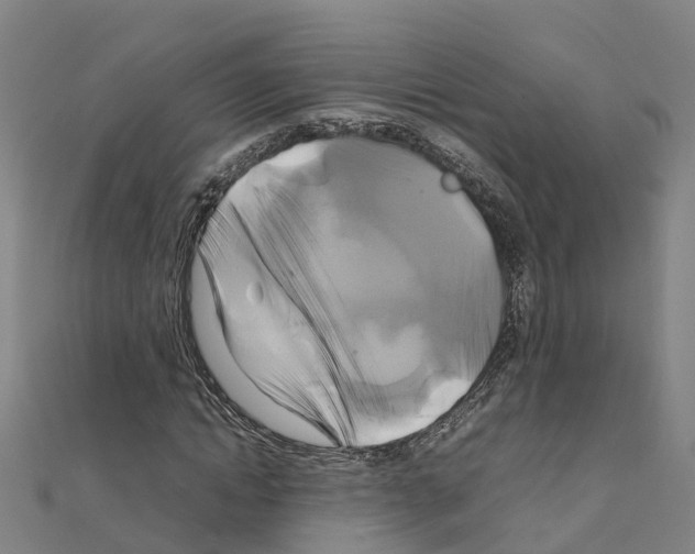 X0000111210822200908121130