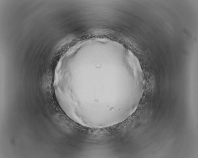 X0000111210824200908121130